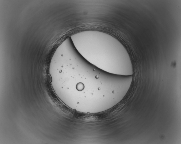 X0000116260456200912291500