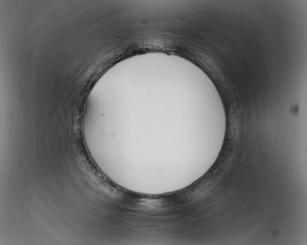 X0000116260457200912291500