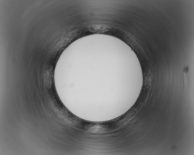 X0000116260460200912291500