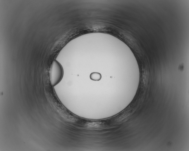 X0000116260461200912291500