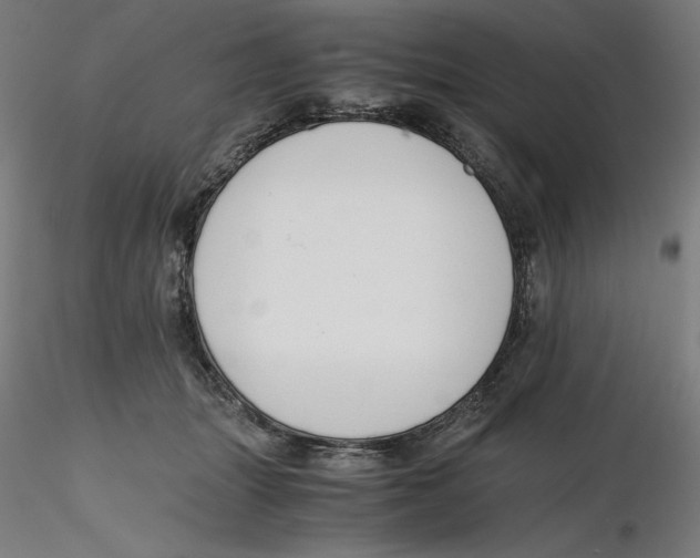 X0000116260463200912291500