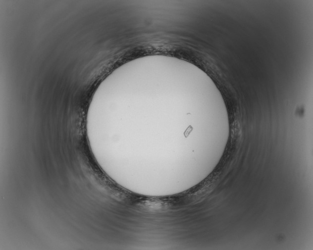 X0000116260464200912291500