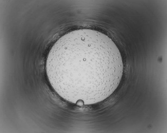 X0000116260466200912291500