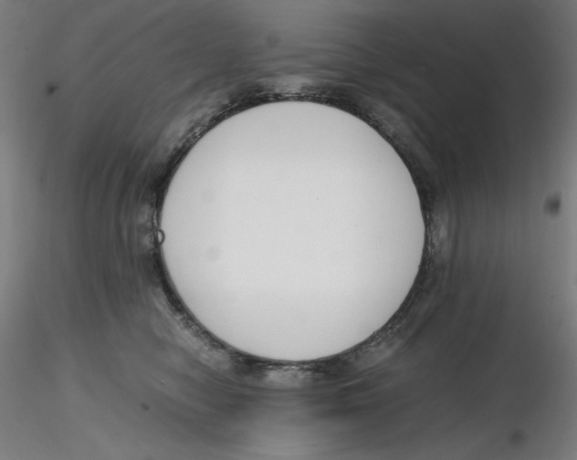 X0000116260470200912291500