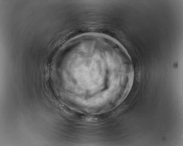 X0000116260471200912291500
