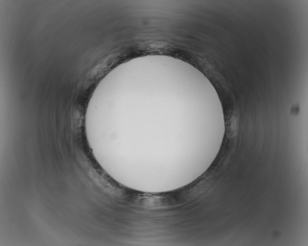 X0000116260472200912291500