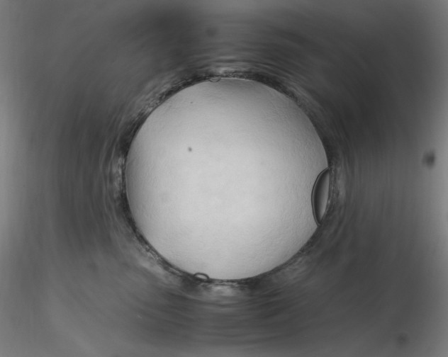 X0000116260475200912291500