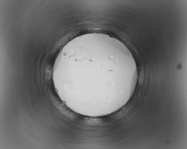 X0000116260476200912291500