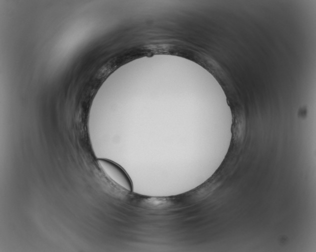 X0000116260477200912291500