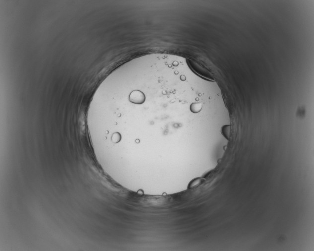 X0000116260479200912291500