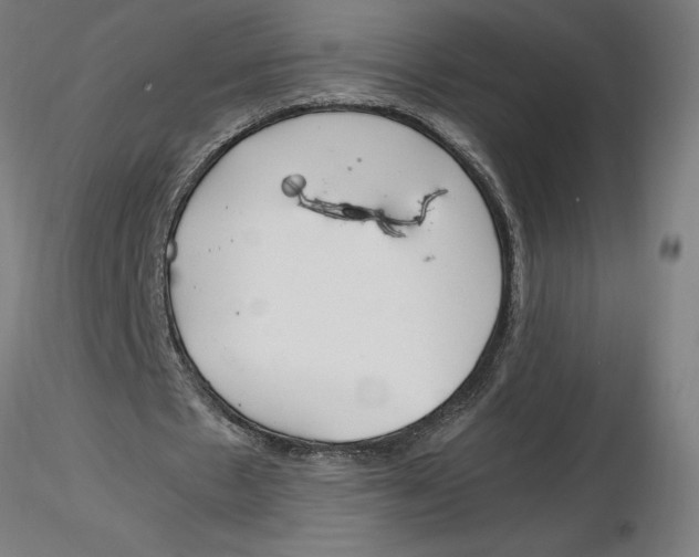 X0000116260481200912291500