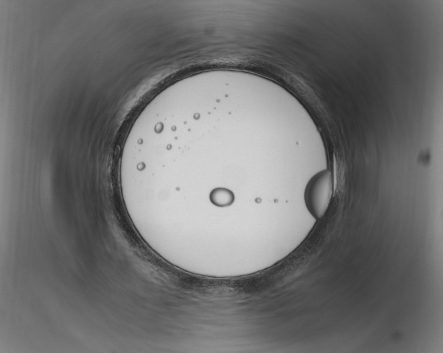 X0000116260483200912291500