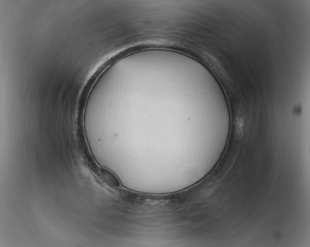 X0000116260484200912291500