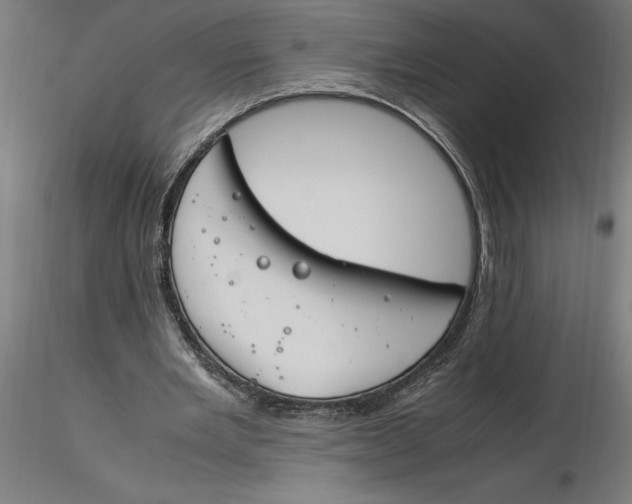 X0000116260485200912291459