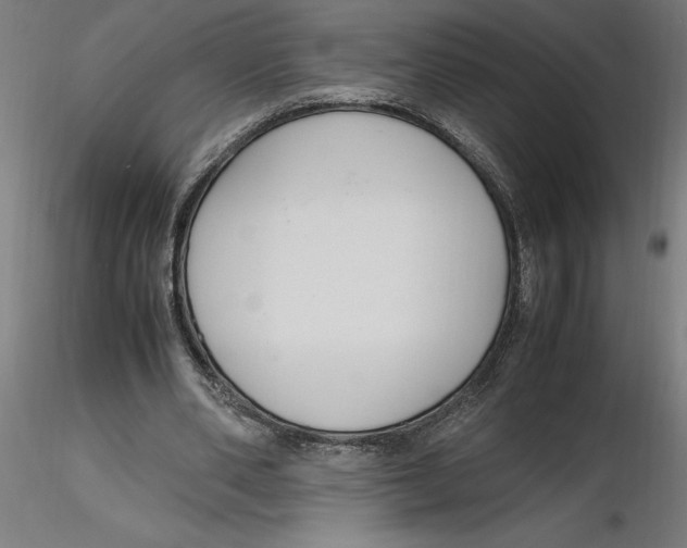 X0000116260486200912291459