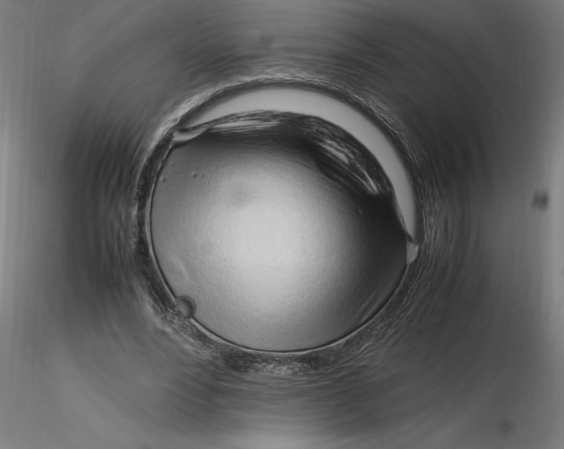 X0000116260488200912291459