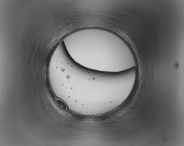 X0000116260489200912291459