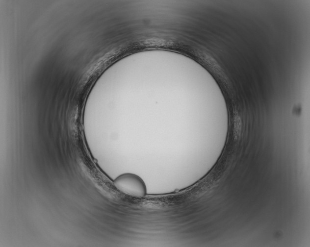 X0000116260490200912291459