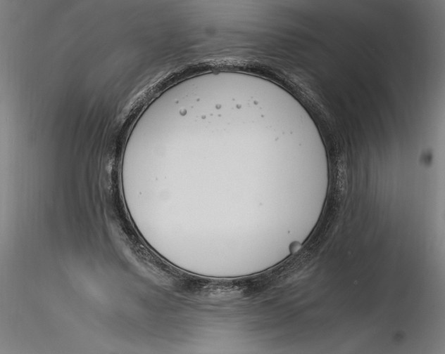 X0000116260491200912291459