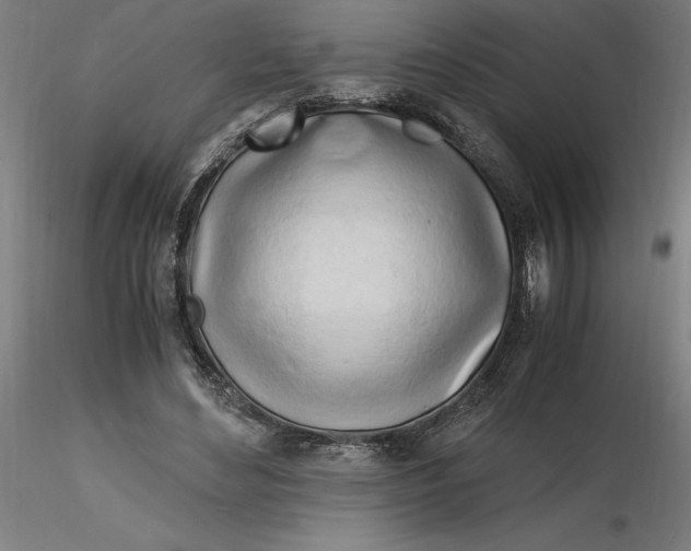 X0000116260492200912291459