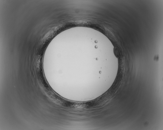 X0000116260495200912291459