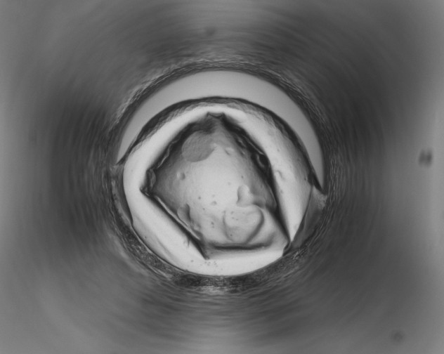 X0000116260496200912291459