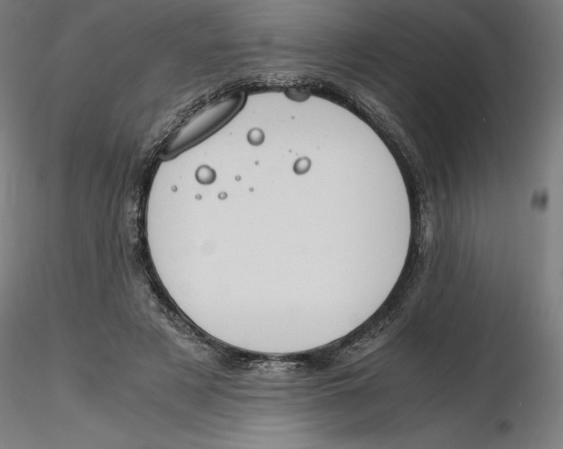 X0000116260497200912291459