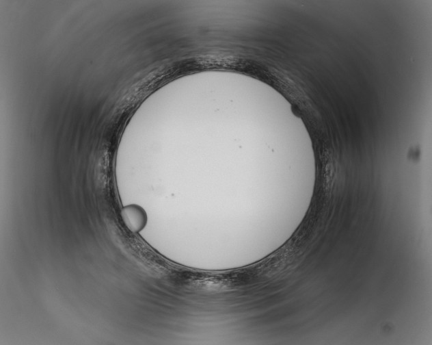 X0000116260498200912291459