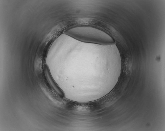 X0000116260500200912291459