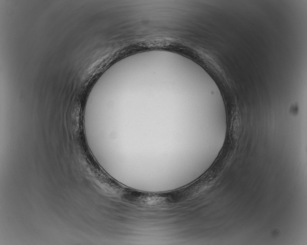 X0000116260501200912291459