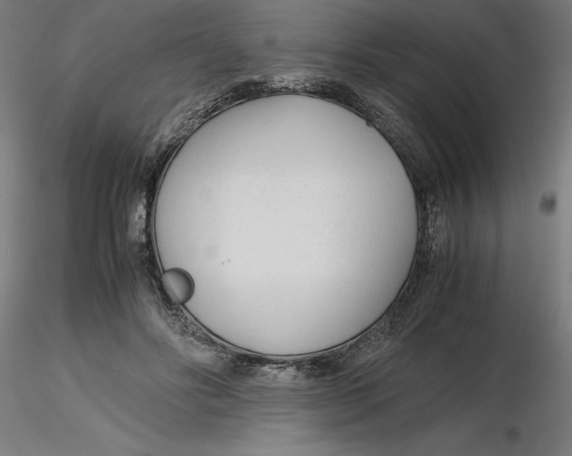 X0000116260502200912291459