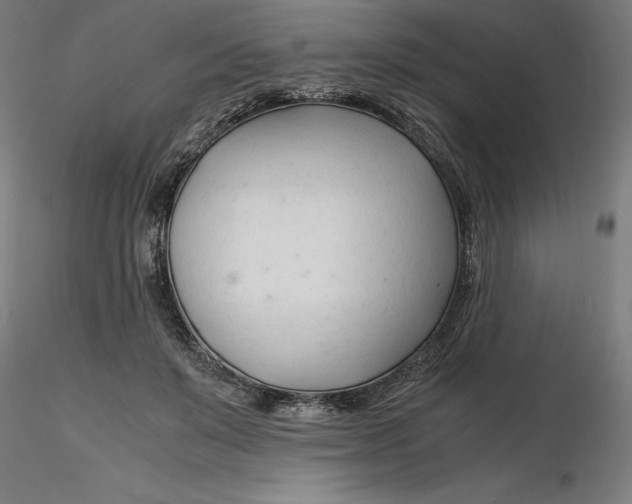 X0000116260503200912291459