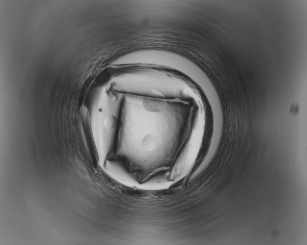 X0000116260504200912291459