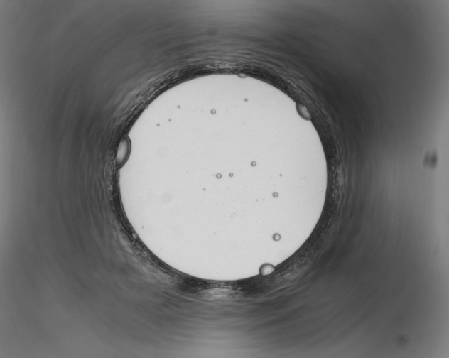 X0000116260505200912291459