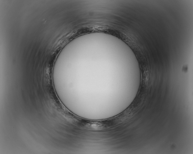 X0000116260506200912291459