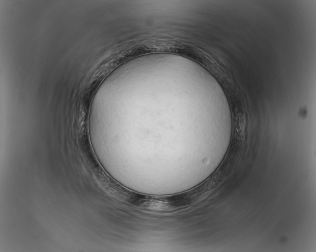 X0000116260507200912291459
