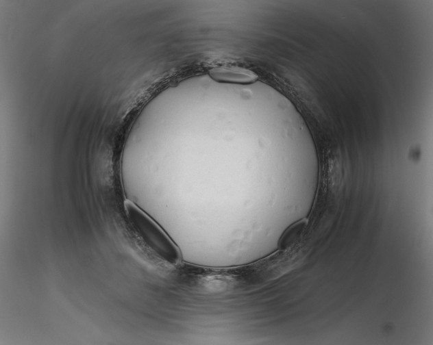 X0000116260508200912291459