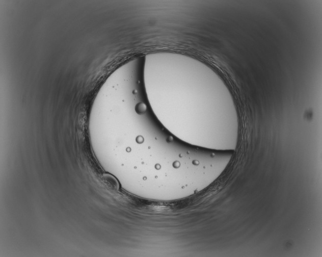 X0000116260509200912291459