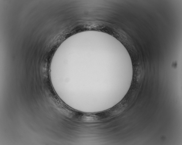 X0000116260510200912291459