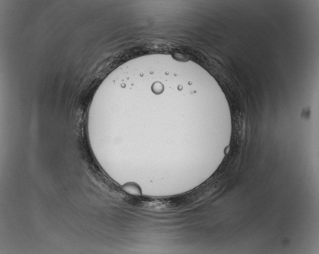 X0000116260511200912291459