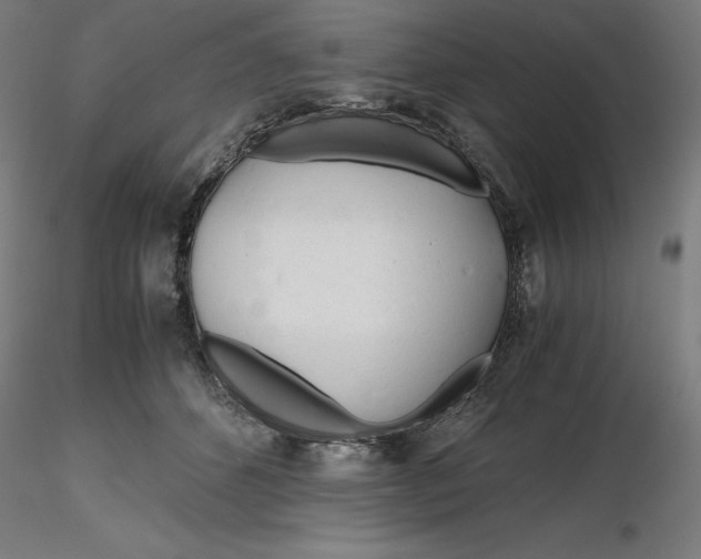 X0000116260512200912291459