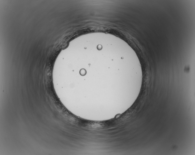 X0000116260513200912291459