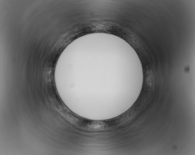 X0000116260514200912291459