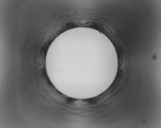 X0000116260515200912291459