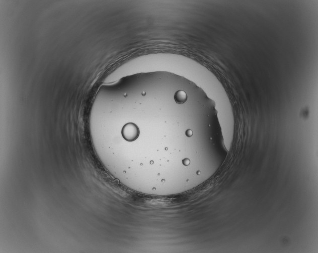X0000116260516200912291459