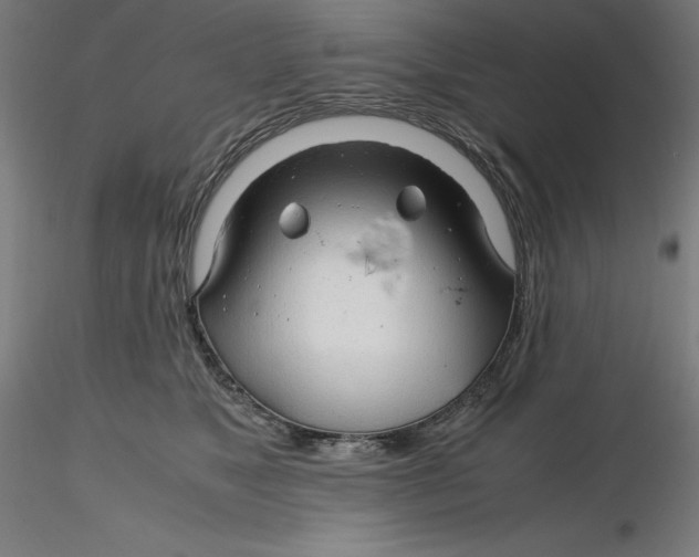 X0000116260517200912291459