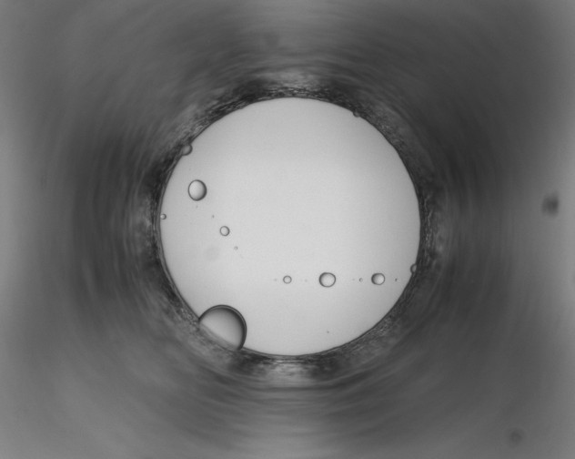 X0000116260518200912291459