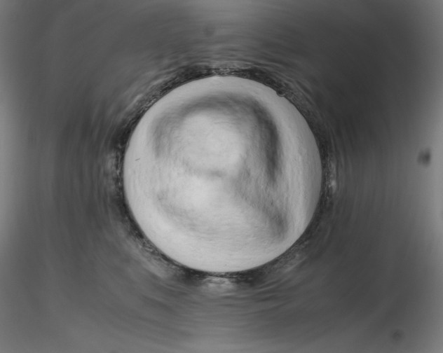 X0000116260519200912291459