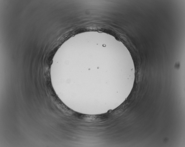 X0000116260521200912291459