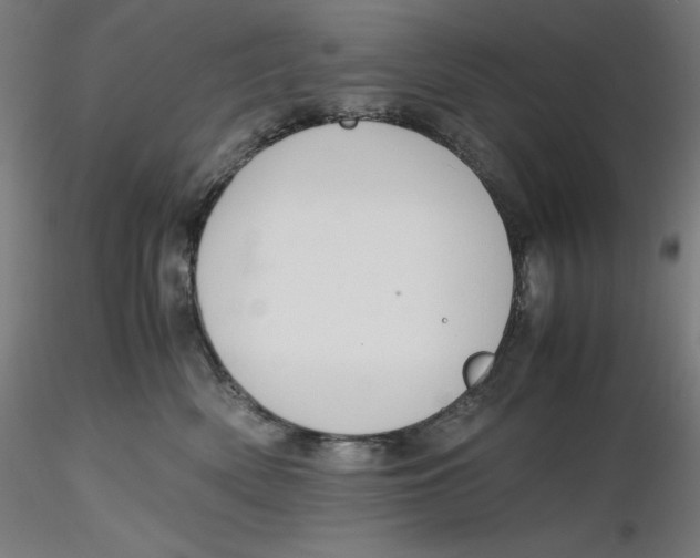 X0000116260522200912291459